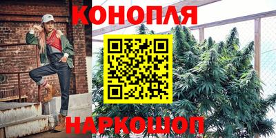 PSILOCYBIN Краснодар