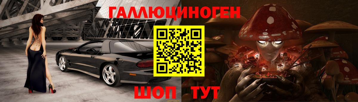Псилоцибиновые грибы Magic Shrooms Зима
