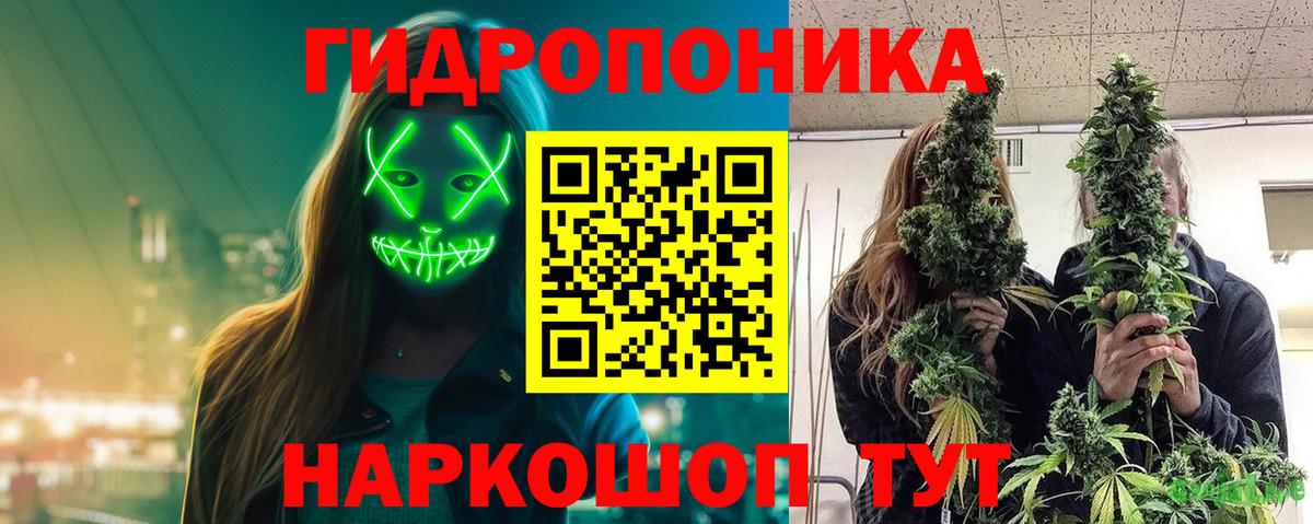 Канабис планчик  Шишки марихуана LSD WEED  Вход с VPN  Зима  Бошки марихуана VHQ 